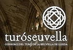 Consorci del Tur 